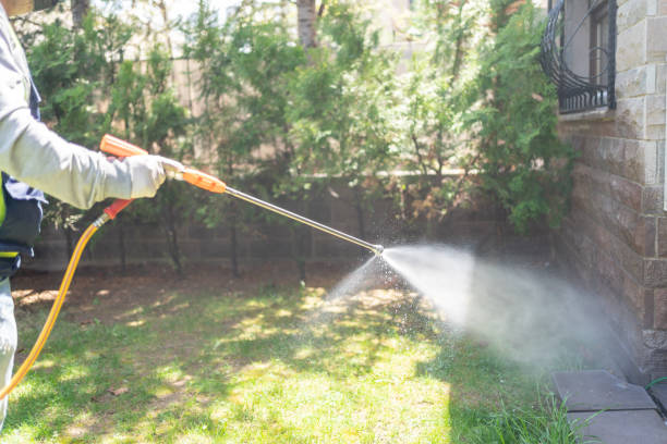 Best Mosquito Control  in Hampton, IL